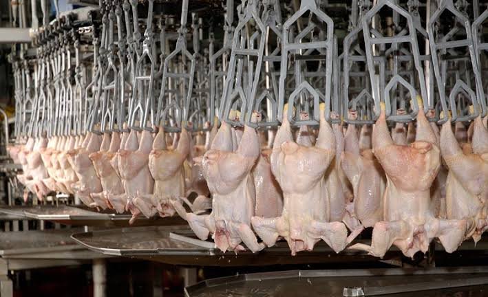 Argentina logró la reapertura del mercado del Reino Unido para la carne aviar
